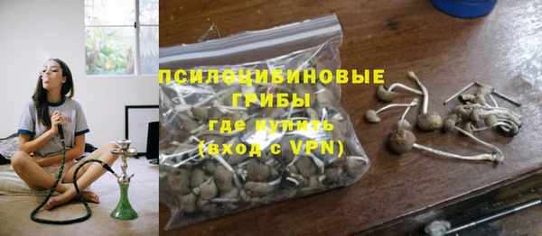 кокс Арсеньев